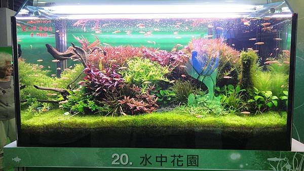 DSC01616