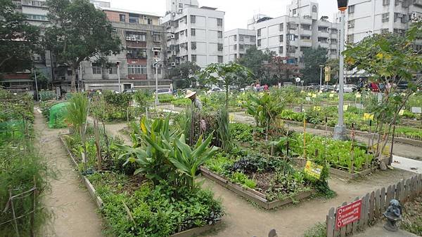 DSC03940