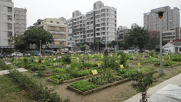 DSC03950