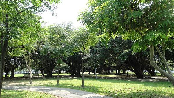 DSC07796