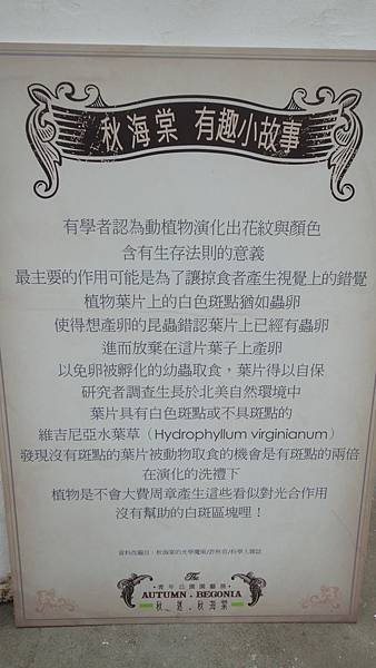 DSC00308