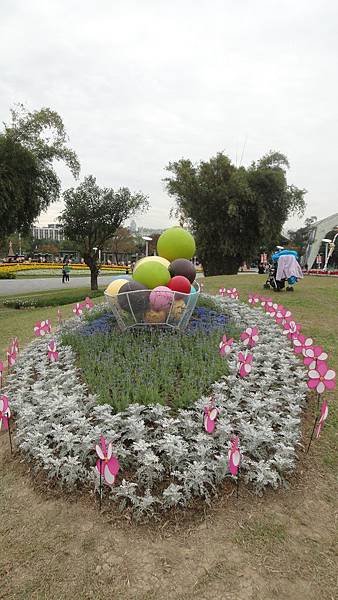 DSC00954