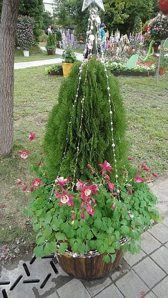 DSC00907