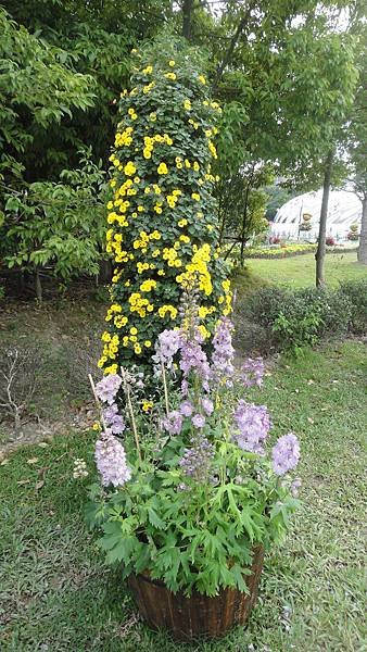 DSC00908