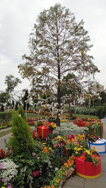 DSC00939
