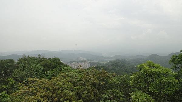 DSC05090.JPG