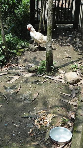 DSC05107.JPG