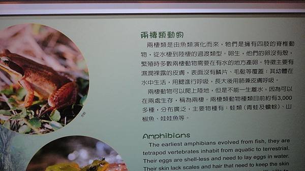 DSC05358.JPG