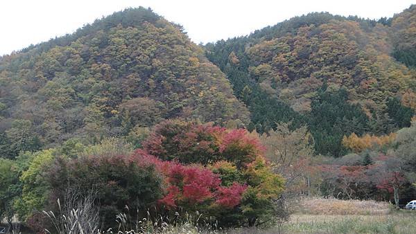 DSC06536.JPG