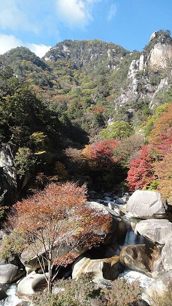 DSC06593.JPG