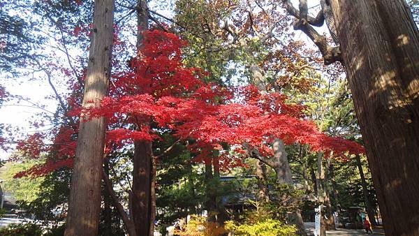 DSC07765.JPG