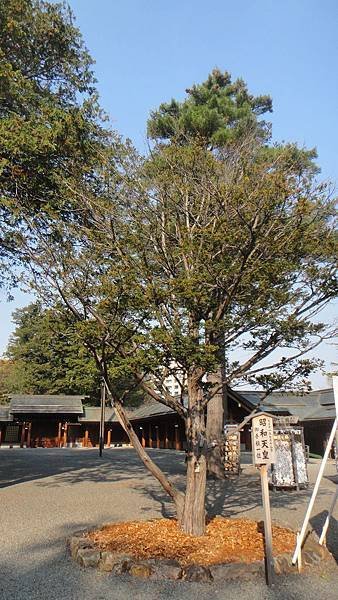 DSC07780.JPG
