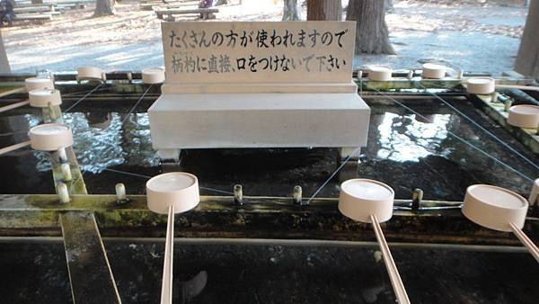 DSC07789.JPG
