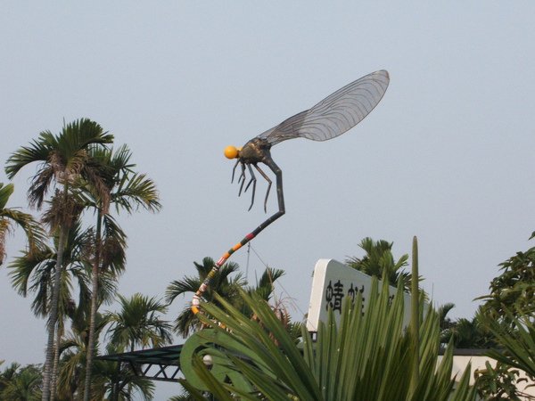 DSCF4617.JPG