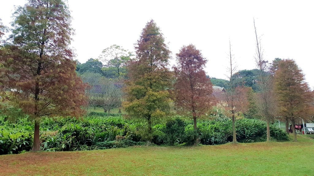 20190112_145916.jpg