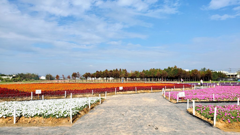 20201119_100744.jpg