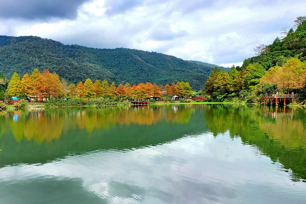 113.12.25.宜蘭員山~望龍埤(賞落羽松)-爸媽初訪