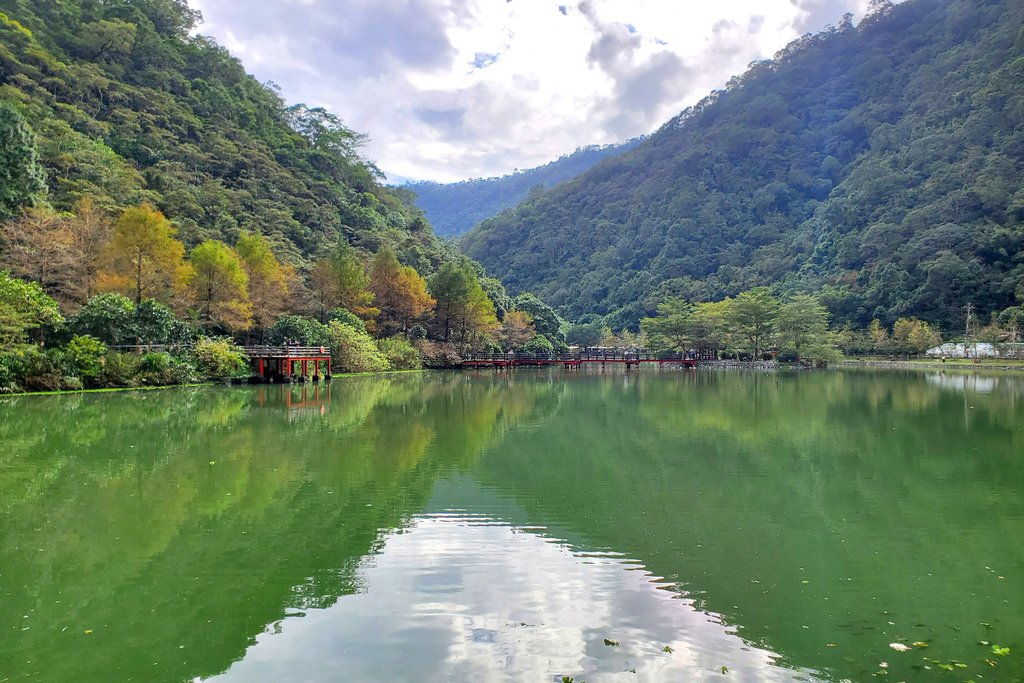 113.12.25.宜蘭員山~望龍埤(賞落羽松)-爸媽初訪