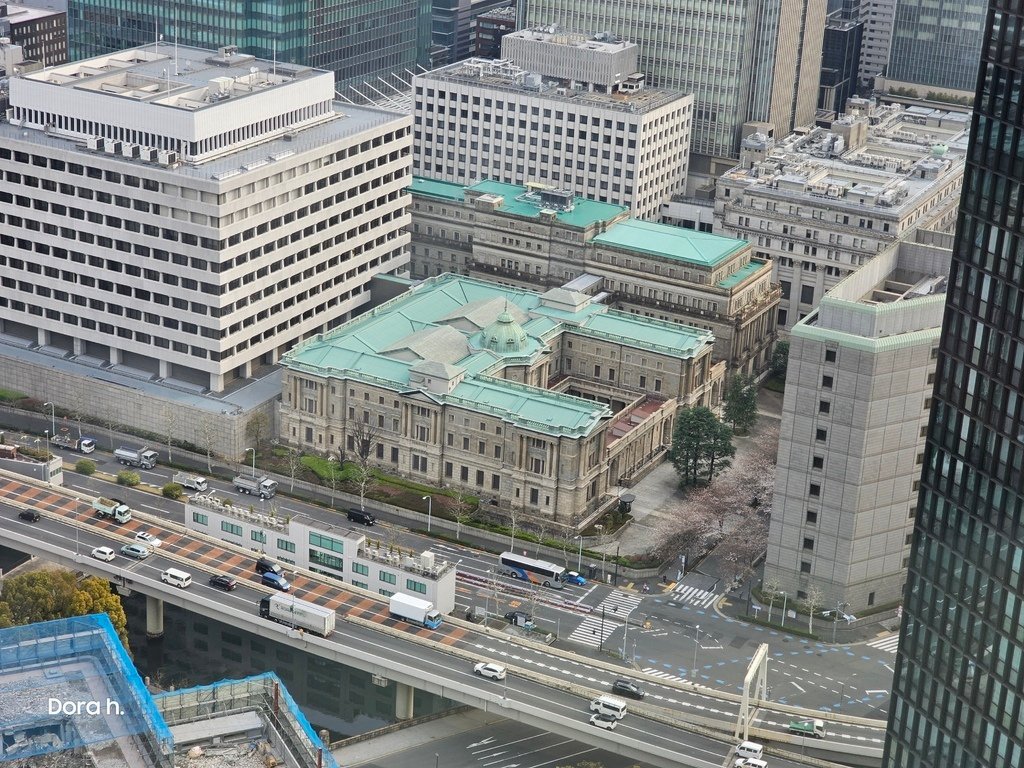 20230321_074957.jpg
