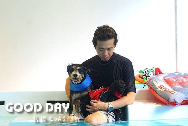 【寵物友善景點】新竹竹北 GOOD DAY寵物渡假會館