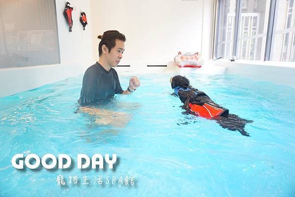 【寵物友善景點】新竹竹北 GOOD DAY寵物渡假會館