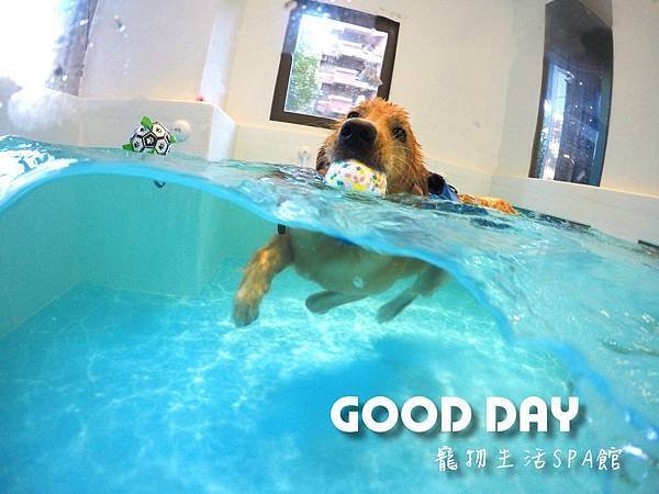 雙GOLDEN 娜娜&amp;強森