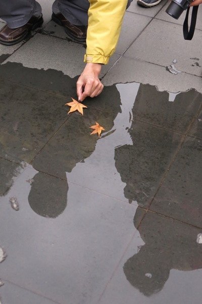 2 leaves 4x6