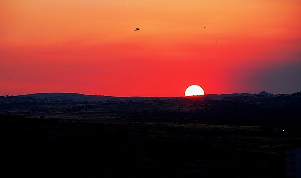 DSC_0306.JPG