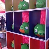 IMG_1582