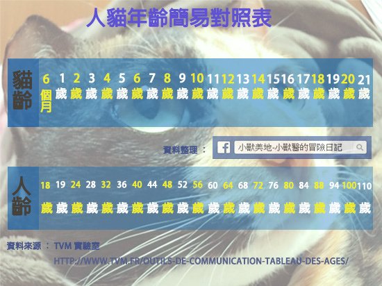 小獸美地-人貓年齡換算表