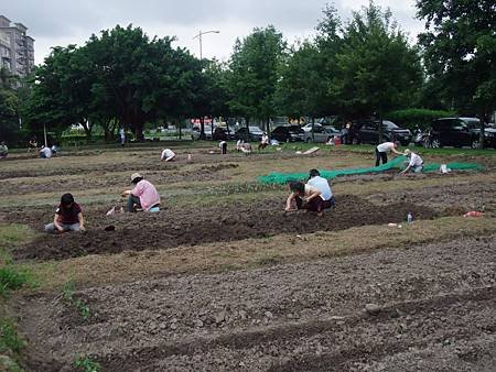 201206月新瓦屋種菜 (1)