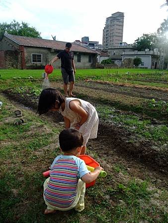 201206月新瓦屋種菜 (15)