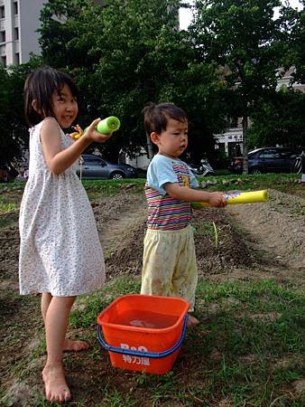 201206月新瓦屋種菜 (4)