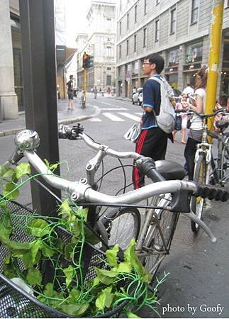 米蘭散步八.jpg
