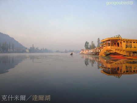 India218 early morning of Dal Lake.jpg