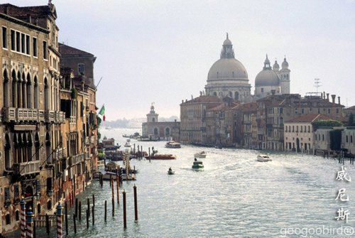 Italy Venice.jpg