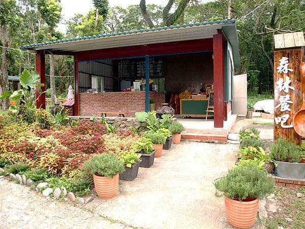 探索原野排灣族美味，馨香森林餐吧邀您品味原汁原味