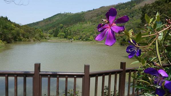 探索南庄放鬆心情的隱世寶地&lt;&lt;向天湖咖啡民宿&gt;&gt;好好享受向天