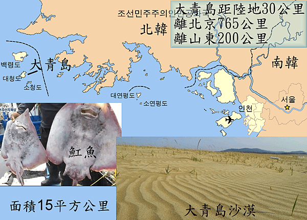 奇皇后之大青島