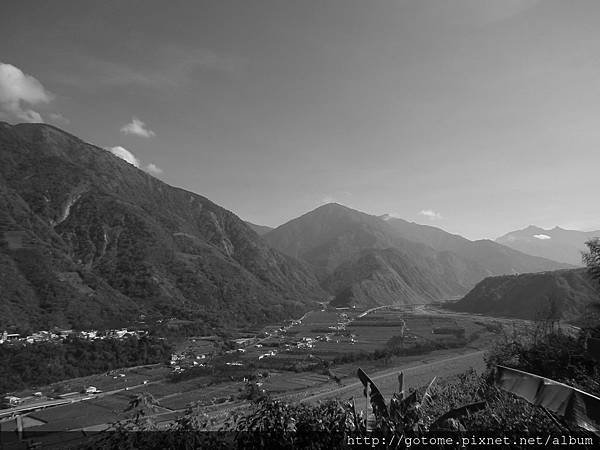 1031515賞梅及鵲橋 (2).JPG