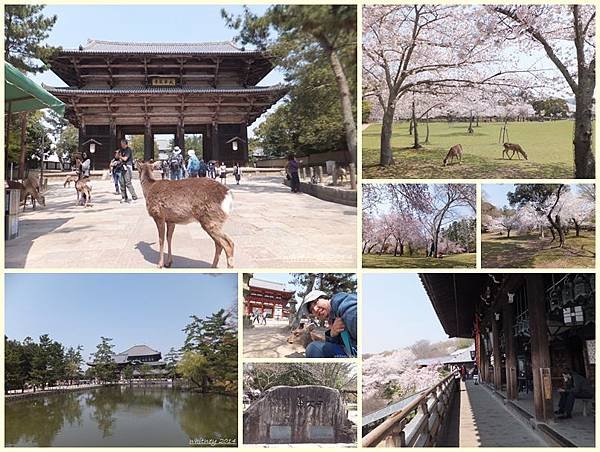 東大寺