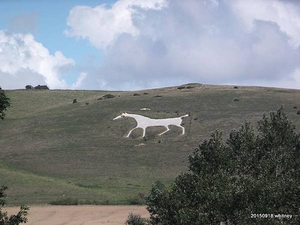 white horse