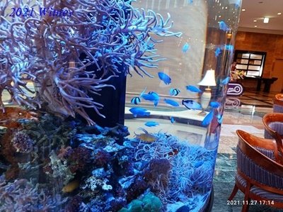 沖繩020.jpg