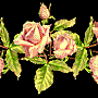 BarreRoseB04