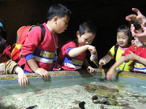 海洋生物館觸摸池