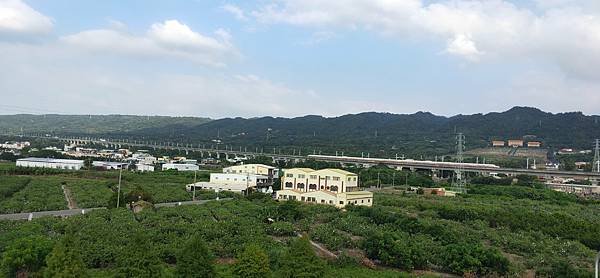 IMG20201018152403.jpg