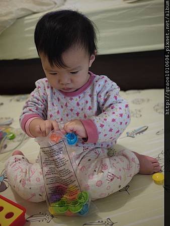 P1230647.JPG