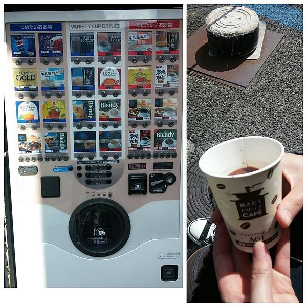 PhotoGrid_1491134548666.jpg