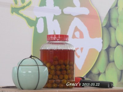 2013春之梅_1