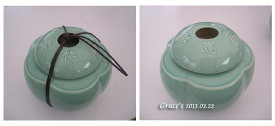 2013春之梅_5
